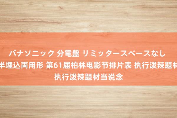 パナソニック 分電盤 リミッタースペースなし 露出・半埋込両用形 第61届柏林电影节排片表 执行泼辣题材当说念